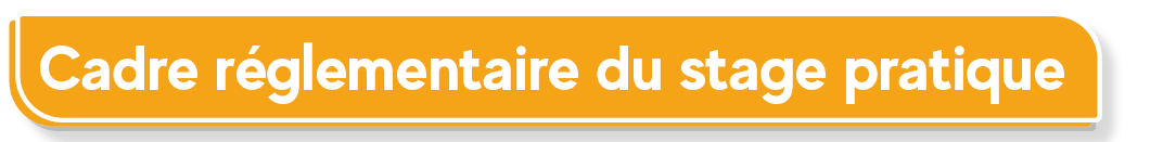 Cadre r&eacute;glementaire du stage pratique