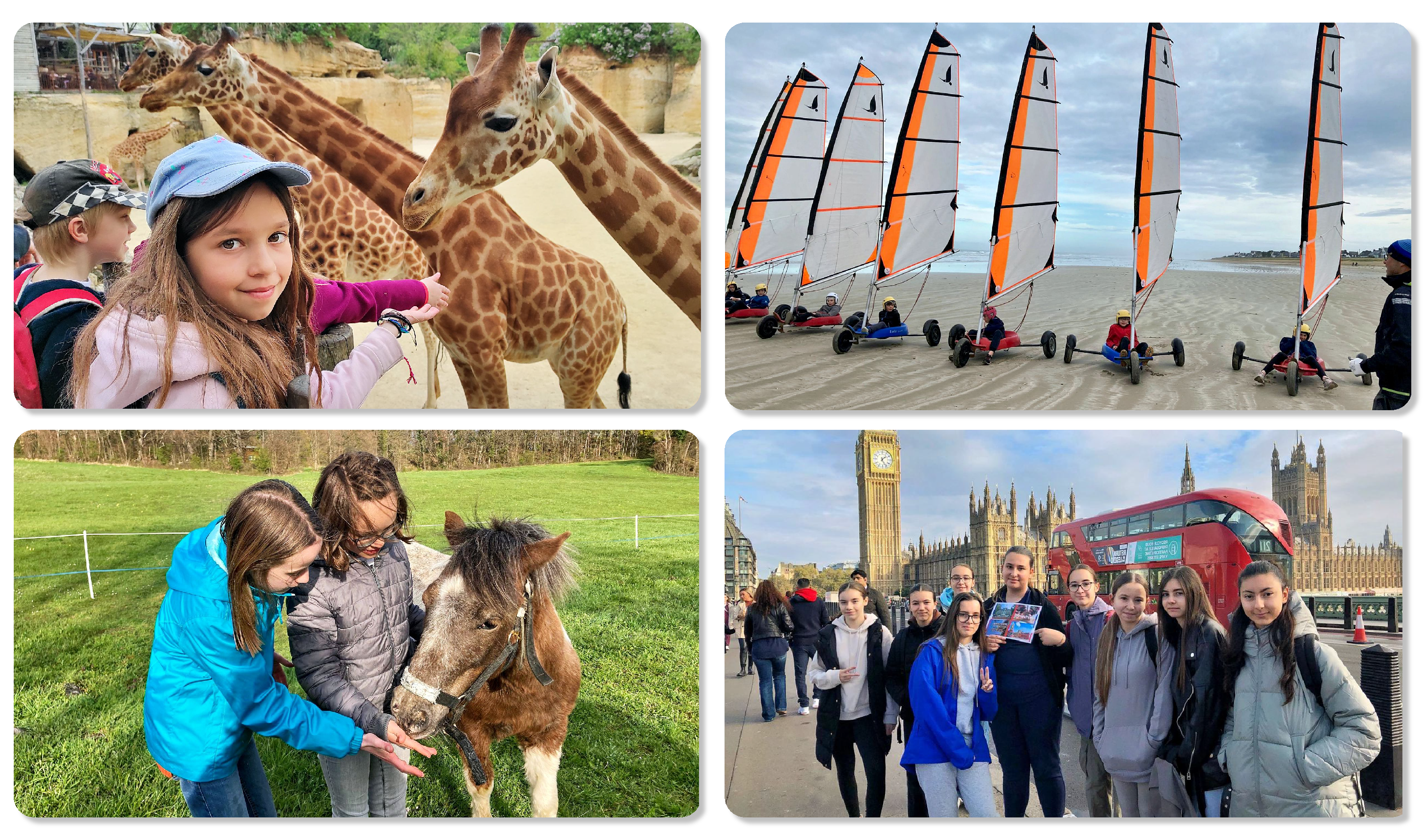 Activit&eacute;s &eacute;t&eacute; 2026