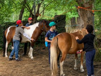 Poneys Mer et Voile (Automne)