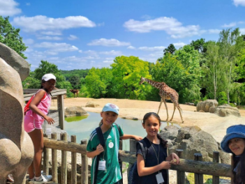 Zoo de Beauval et Futuroscope (Eté)